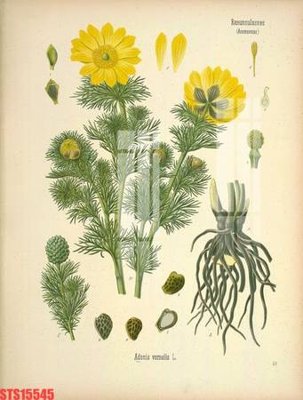 File ảnh Tranh sơn dầu phương tây tổng hợp STS15545 (gốc) in backdrop sự kiện