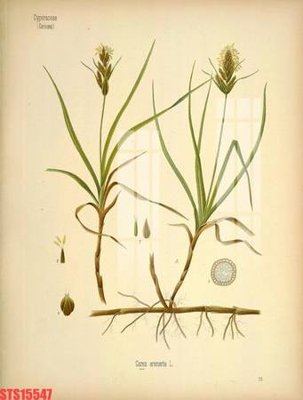 File PSD Tranh sơn dầu phương tây tổng hợp STS15547 (gốc) nhiều lớp (multi-layer)