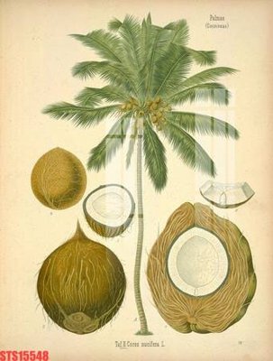 Chi tiết file ảnh Tranh sơn dầu phương tây tổng hợp STS15548 sắc nét