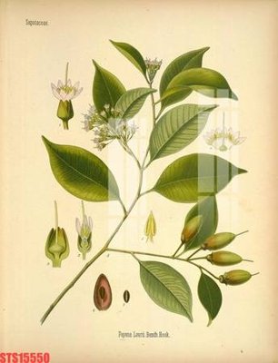 Hình ảnh file gốc Tranh sơn dầu phương tây tổng hợp STS15550 cho in UV