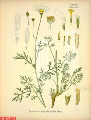 File gốc Tranh sơn dầu phương tây tổng hợp STS15554 (phong cách) châu Âu