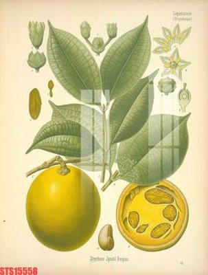 File gốc Tranh sơn dầu phương tây tổng hợp STS15558 (phiên bản chuẩn) để in ấn