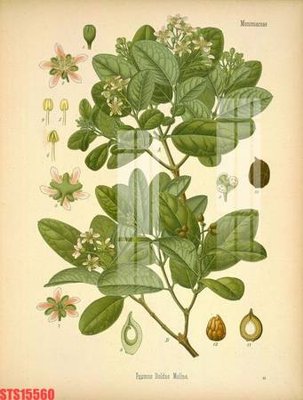 File gốc Tranh sơn dầu phương tây tổng hợp STS15560 (in lụa) tranh mã đáo