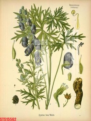 Download file Tranh sơn dầu phương tây tổng hợp STS15562 (chuẩn in) chất lượng cao