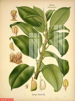 File in lụa Tranh sơn dầu phương tây tổng hợp STS15563 (chất lượng cao) Tranh sơn dầu phương tây tổng hợp STS15563