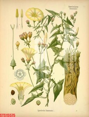 File tranh gốc Tranh sơn dầu phương tây tổng hợp STS15575 chủ đề hiện đại