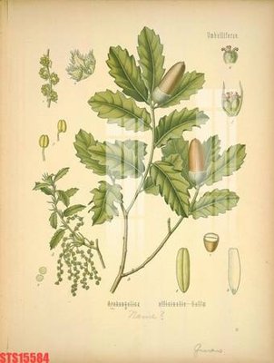 Download file gốc Tranh sơn dầu phương tây tổng hợp STS15584 (độ nét cao)