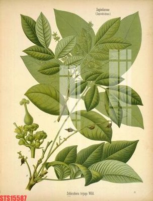 File gốc in tráng gương Tranh sơn dầu phương tây tổng hợp STS15587 chi tiết