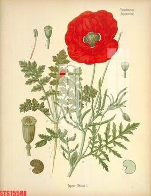 File gốc Tranh sơn dầu phương tây tổng hợp STS15588 (phiên bản chuẩn) để in ấn