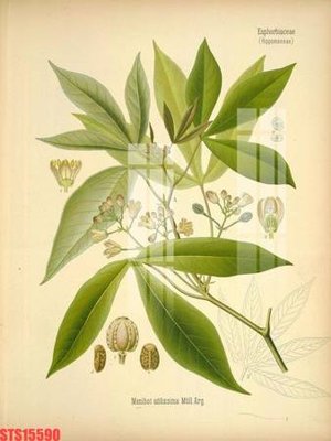 File gốc Tranh sơn dầu phương tây tổng hợp STS15590 (AI/EPS) cho in ấn