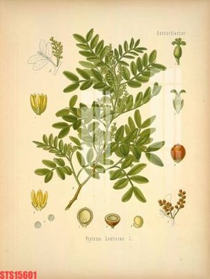 Tải file Tranh sơn dầu phương tây tổng hợp STS15601 (gốc) in tranh tráng gương