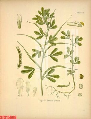 File in ấn cao cấp Tranh sơn dầu phương tây tổng hợp STS15609 (file gốc)