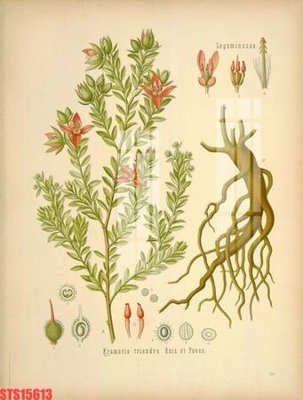 Tải file gốc in lụa Tranh sơn dầu phương tây tổng hợp STS15613 siêu nét