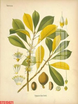 File in ấn chuyên nghiệp Tranh sơn dầu phương tây tổng hợp STS15621 (file gốc)