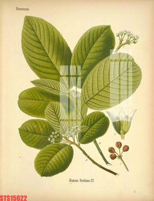 Tải file Tranh sơn dầu phương tây tổng hợp STS15622 (gốc) in ấn chất lượng