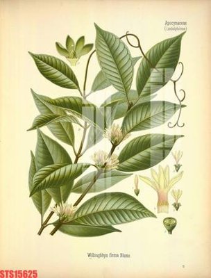 File gốc in ấn Tranh sơn dầu phương tây tổng hợp STS15625 chất lượng vượt trội