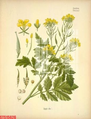 Tải file gốc Tranh sơn dầu phương tây tổng hợp STS15626 (in khổ lớn) quảng cáo