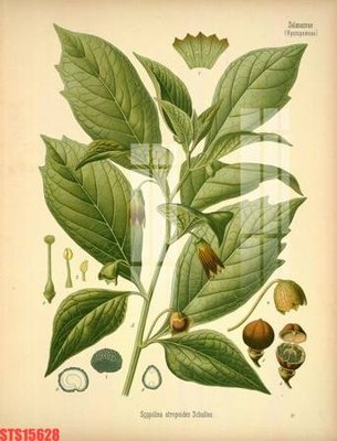 File gốc Tranh sơn dầu phương tây tổng hợp STS15628 (cho in ấn) độc quyền