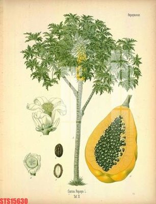 File tranh quảng cáo Tranh sơn dầu phương tây tổng hợp STS15630 (file gốc) chuyên nghiệp