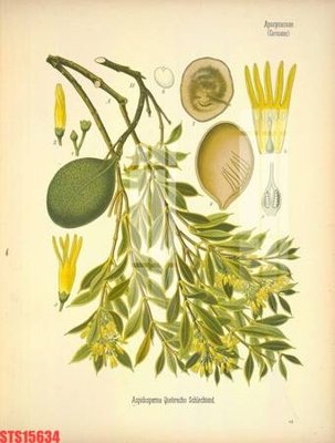 File tranh in trần Tranh sơn dầu phương tây tổng hợp STS15634 (ảnh gốc siêu nét)