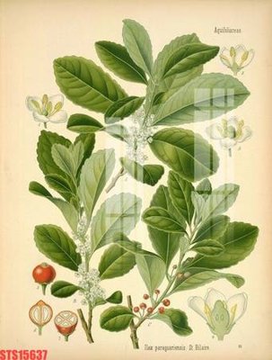 Tải file Tranh sơn dầu phương tây tổng hợp STS15637 (gốc) chủ đề tôn giáo