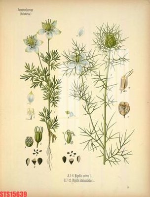 Tải file PSD Tranh sơn dầu phương tây tổng hợp STS15639 (nguyên layer) để in