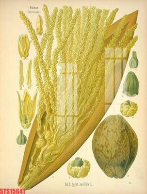 Hình ảnh gốc Tranh sơn dầu phương tây tổng hợp STS15641 (để in khổ lớn)