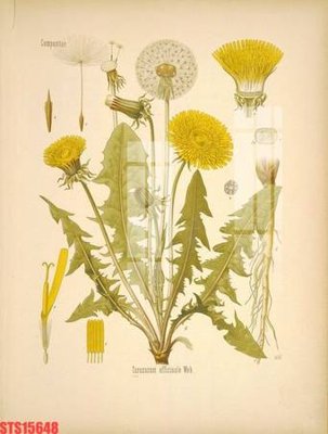 File in ấn Tranh sơn dầu phương tây tổng hợp STS15648 (bản gốc) chất lượng cao