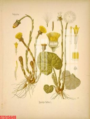 Mua file gốc Tranh sơn dầu phương tây tổng hợp STS15649 (in ấn) tại Filetranh.com