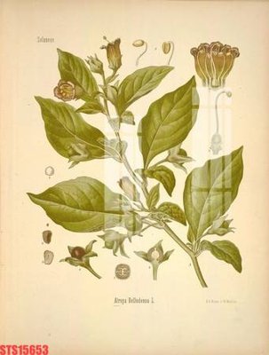 Tải file tranh Tranh sơn dầu phương tây tổng hợp STS15653 (ảnh gốc) ngay