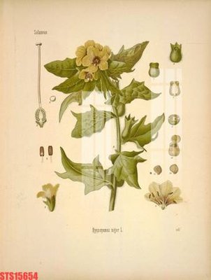 File gốc in ấn Tranh sơn dầu phương tây tổng hợp STS15654 độ phân giải cao