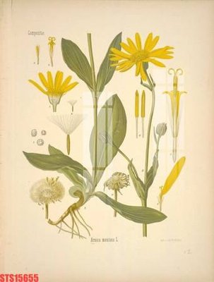 Download file gốc Tranh sơn dầu phương tây tổng hợp STS15655 (in lụa) tranh 3D