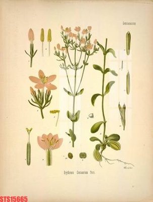 File gốc Tranh sơn dầu phương tây tổng hợp STS15665 (cho in ấn) từ Filetranh.com