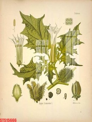 File in mica Tranh sơn dầu phương tây tổng hợp STS15666 (bản gốc) làm vách ngăn