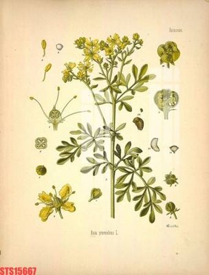 Tải file Tranh sơn dầu phương tây tổng hợp STS15667 (gốc) in trên mọi chất liệu