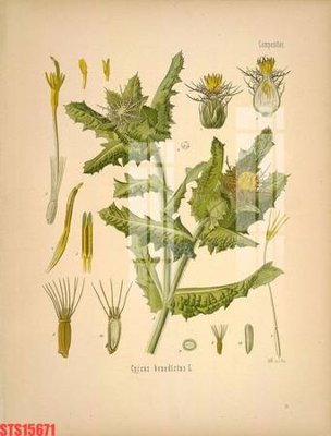 File gốc Tranh sơn dầu phương tây tổng hợp STS15671 (trang trí) cho phòng khách