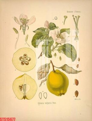 File gốc Tranh sơn dầu phương tây tổng hợp STS15677 (in lụa) tranh mã đáo