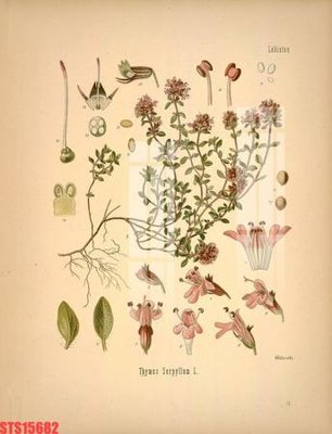 File tranh trang trí Tranh sơn dầu phương tây tổng hợp STS15682 (file gốc)