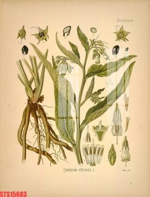 File tranh PSD Tranh sơn dầu phương tây tổng hợp STS15683 chất lượng cao