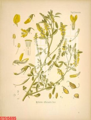 File tranh Tranh sơn dầu phương tây tổng hợp STS15695 (ảnh gốc) sắc nét hoàn hảo