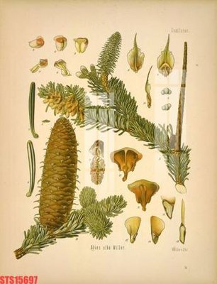 File tranh Tranh sơn dầu phương tây tổng hợp STS15697 (bản gốc) treo quán cafe