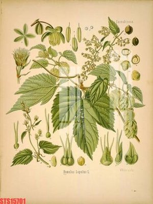 File tranh trang trí Tranh sơn dầu phương tây tổng hợp STS15701 (file gốc)