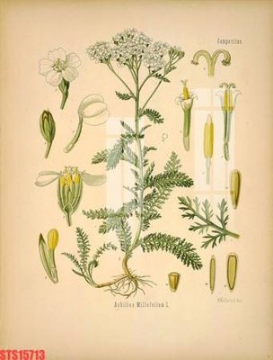 File tranh gốc Tranh sơn dầu phương tây tổng hợp STS15713 (bản đẹp) độc quyền