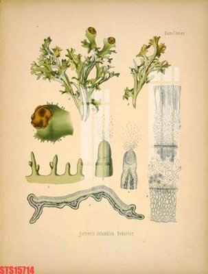 File gốc Tranh sơn dầu phương tây tổng hợp STS15714 (cho in ấn) từ Filetranh.com