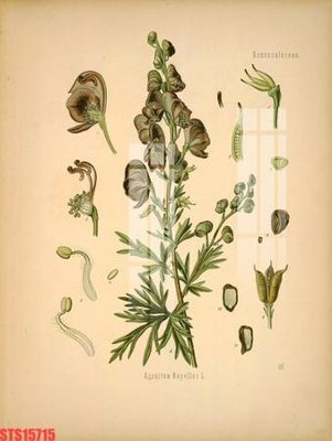 Ảnh gốc Tranh sơn dầu phương tây tổng hợp STS15715 (nét căng) in mica