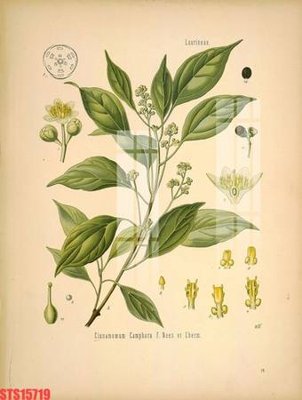 File tranh Tranh sơn dầu phương tây tổng hợp STS15719 (bản gốc) in lụa 5D