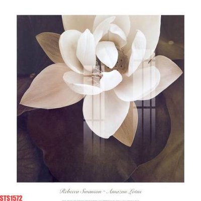 Tải file Tranh sơn dầu phương tây tổng hợp STS1572 (ảnh gốc) độ phân giải 300dpi