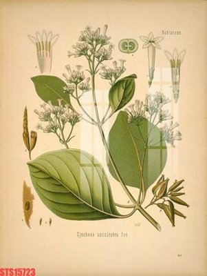 Tải file gốc Tranh sơn dầu phương tây tổng hợp STS15723 (in khổ lớn) không vỡ