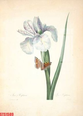 File in ấn Tranh sơn dầu phương tây tổng hợp STS1589 (bản gốc) chất lượng cao