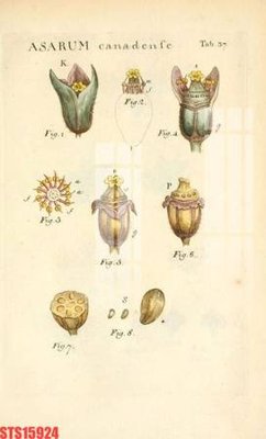 File gốc Tranh sơn dầu phương tây tổng hợp STS15924 (thiết kế) độc quyền